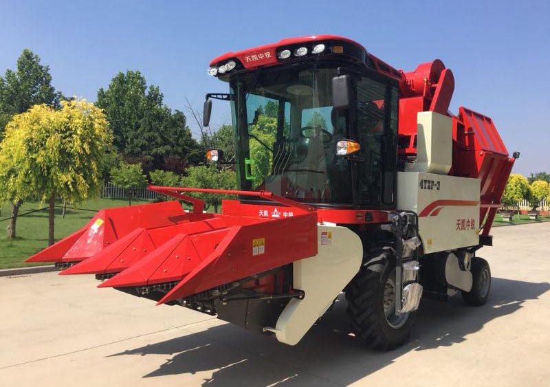 8617728.jpg 8617728.jpg